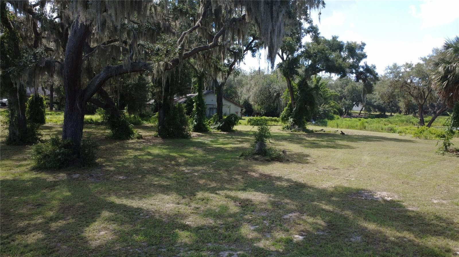 Land at SE HWY 42, WEIRSDALE, photo 4 of 6