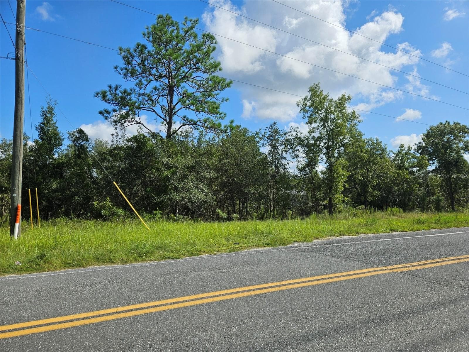 Land at 0000 NE 60TH ST, BRONSON, photo 2 of 8
