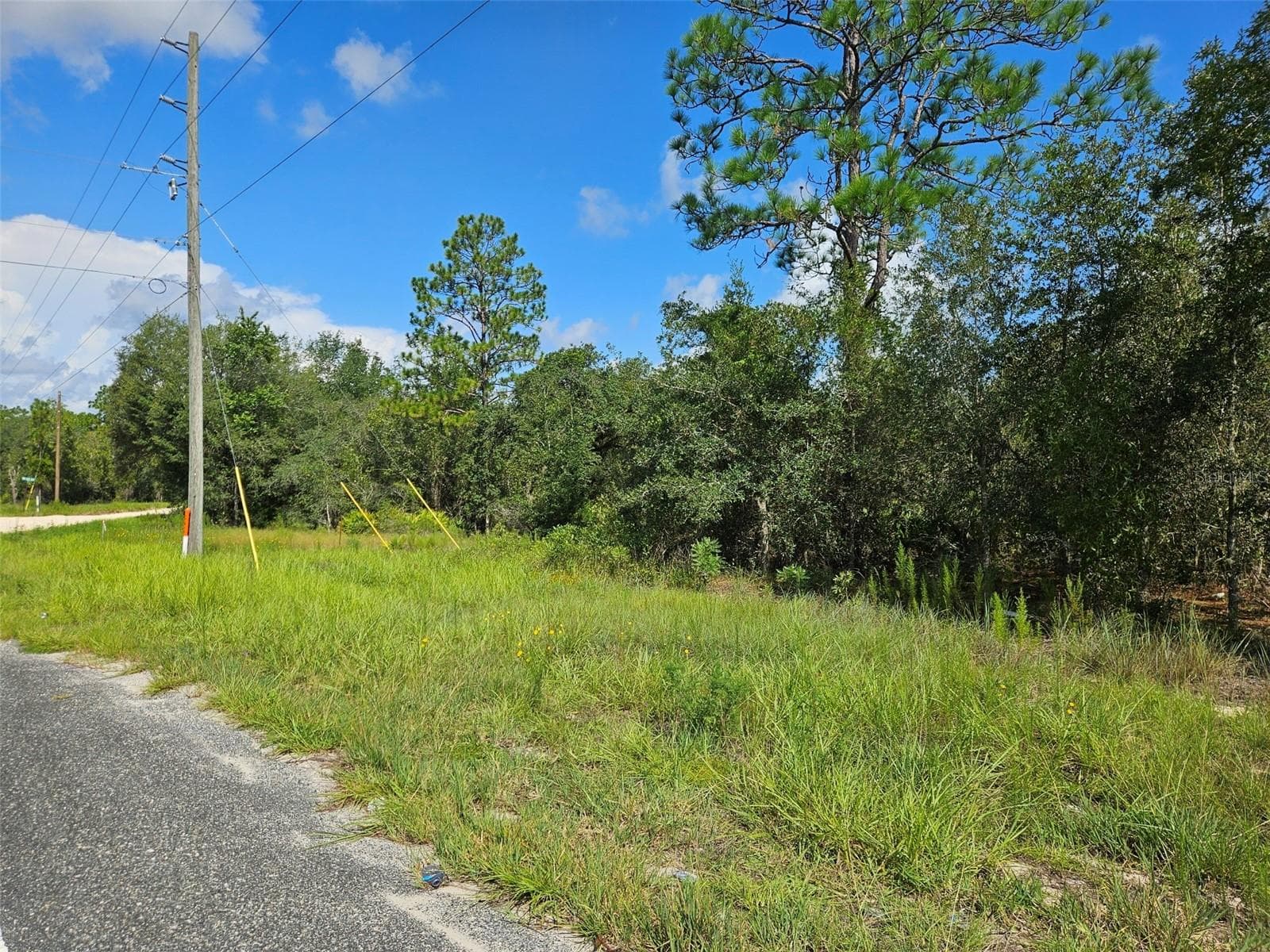 Land at 0000 NE 60TH ST, BRONSON, photo 4 of 8
