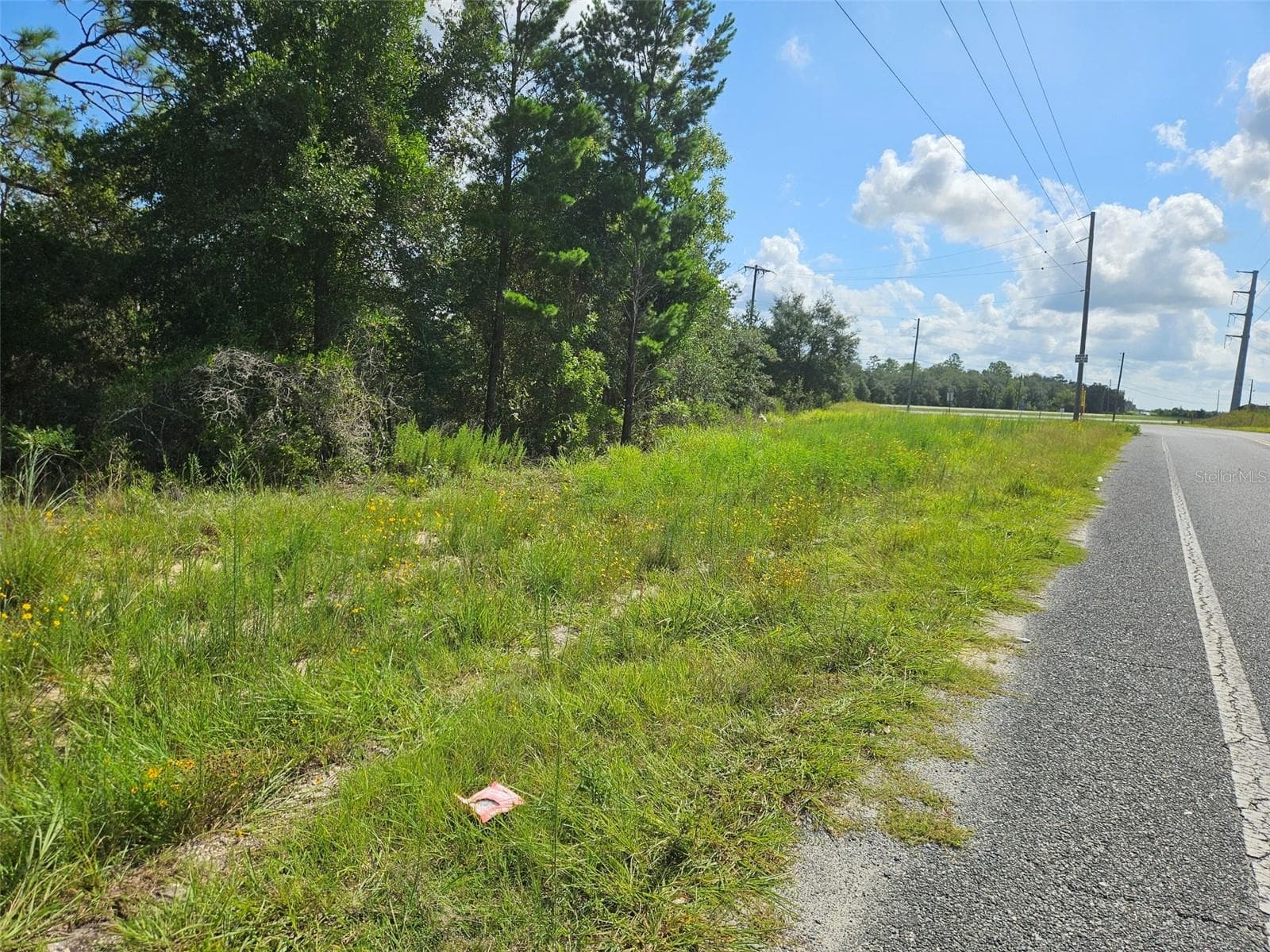 Land at 0000 NE 60TH ST, BRONSON, photo 6 of 8