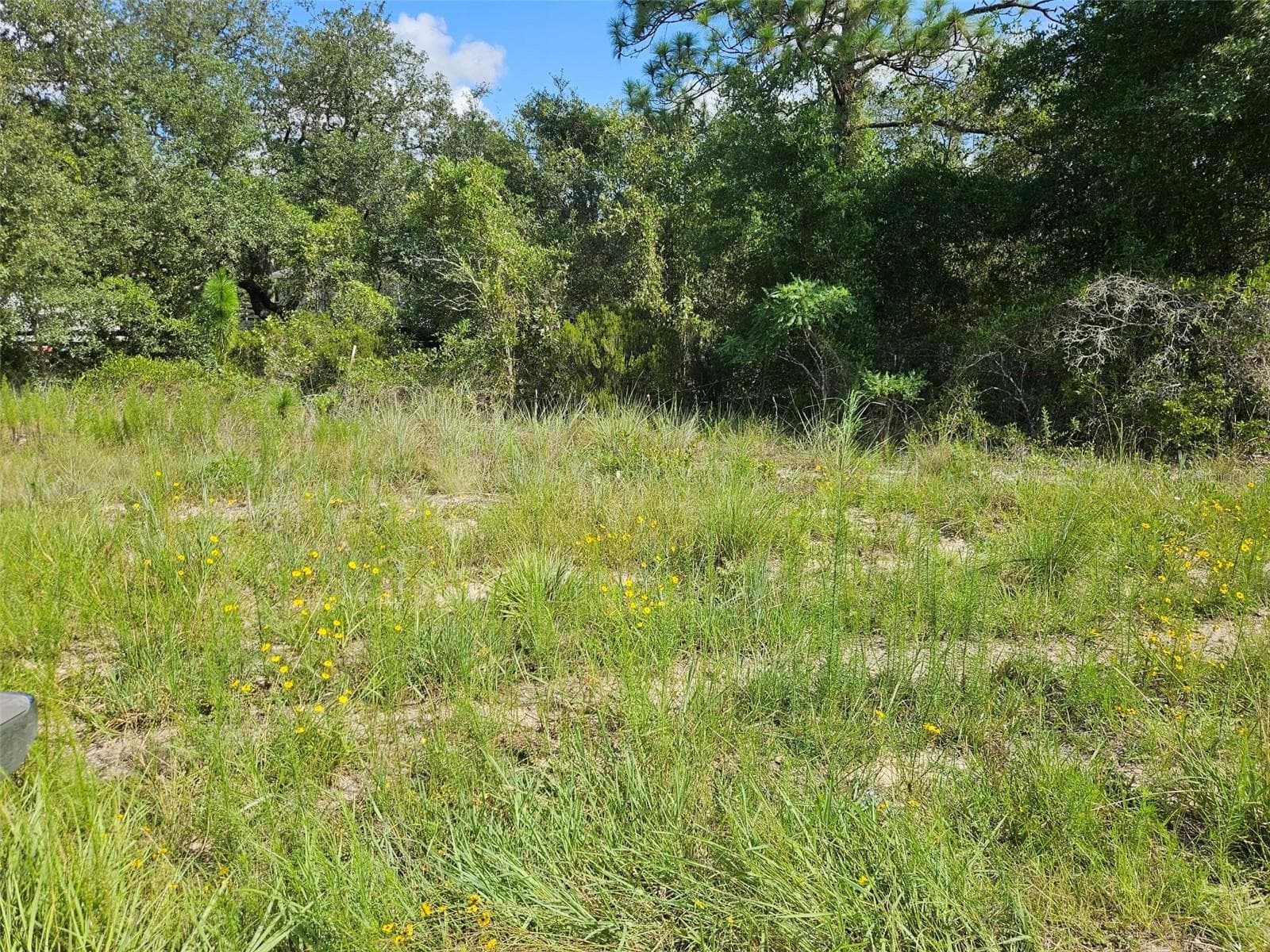 Land at 0000 NE 60TH ST, BRONSON, photo 7 of 8