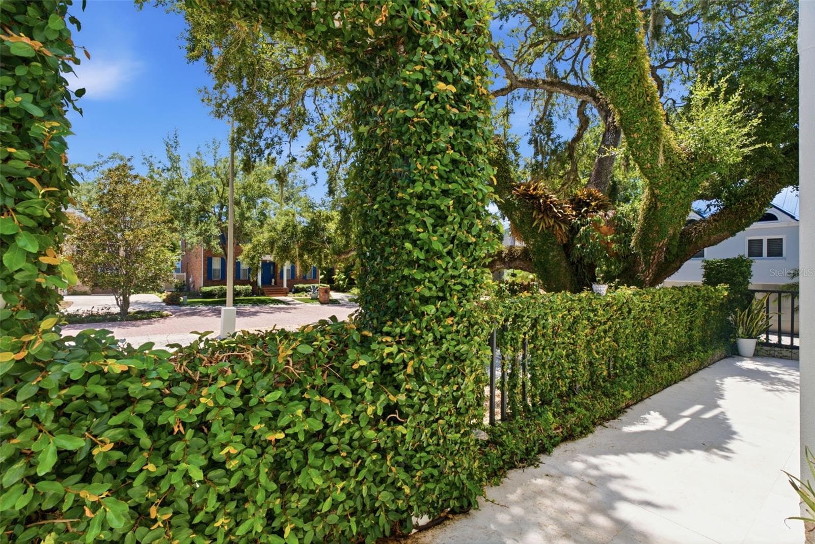 Lush green backdrop - 2701 CHAMBRAY LN, TAMPA