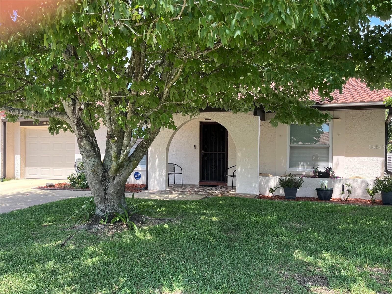 Front of home - 11414 STANSBERRY DR, PORT RICHEY