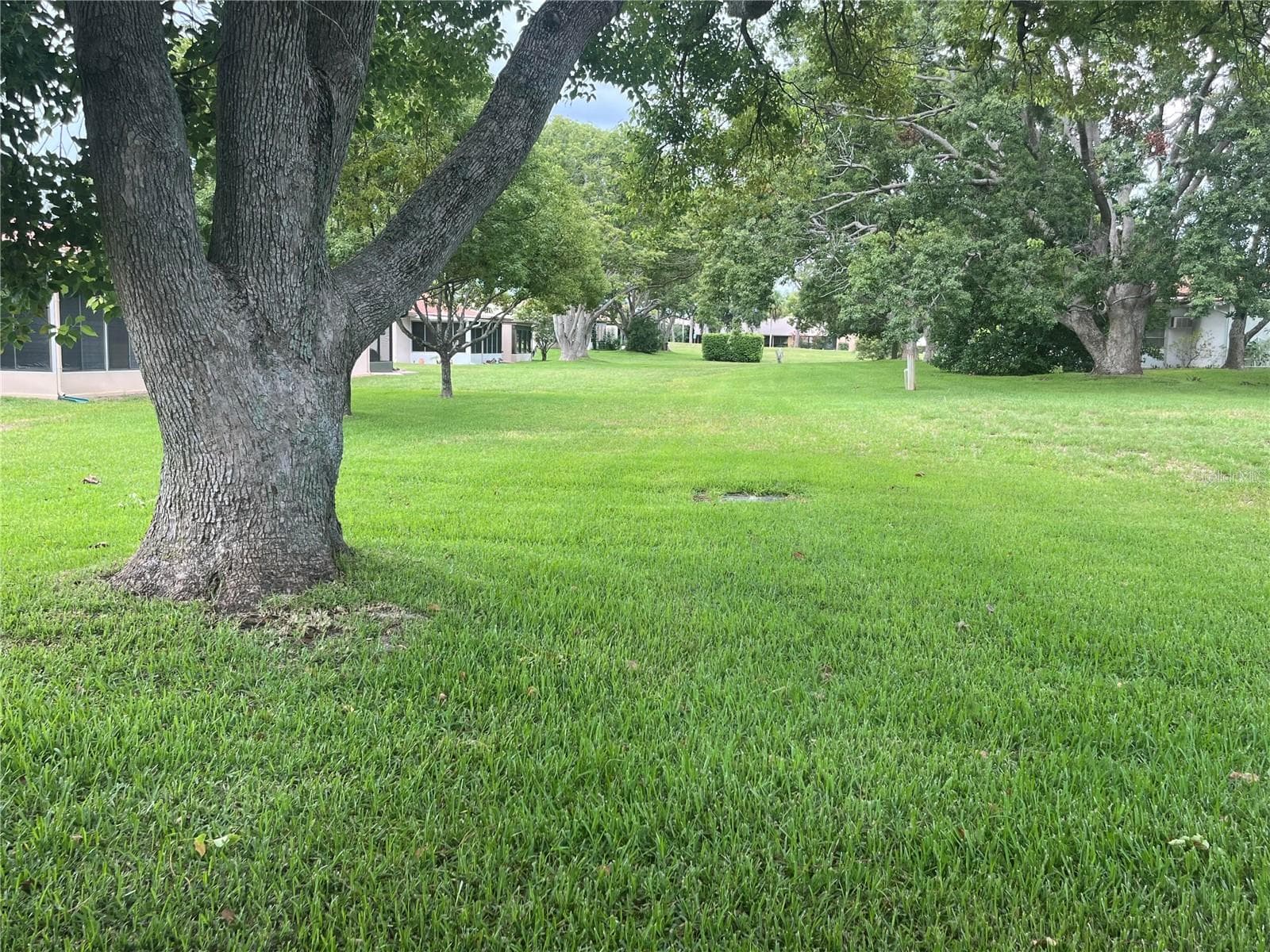 View from Bonus room this is back yard - 11414 STANSBERRY DR, PORT RICHEY