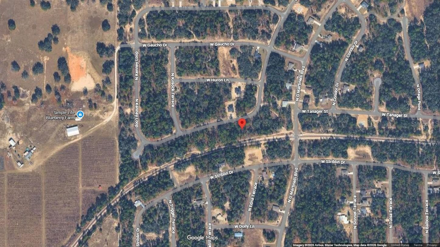 Land at 11351 N KENNEY LOOP, CITRUS SPRINGS, photo 5 of 8