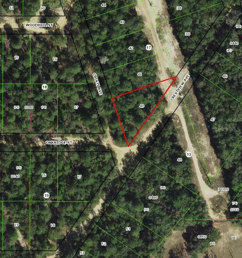 Land at 112 S CRESTVIEW AVE, INVERNESS, photo 3 of 3