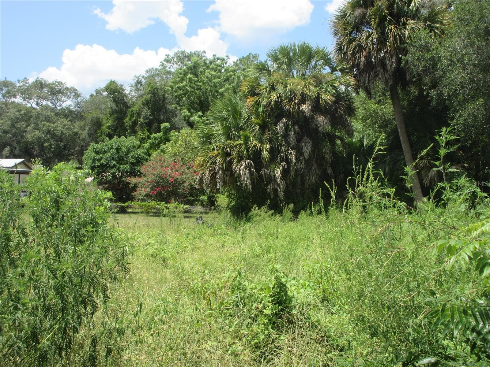Land at TBD SE 19TH ST, SILVER SPRINGS, photo 7 of 34
