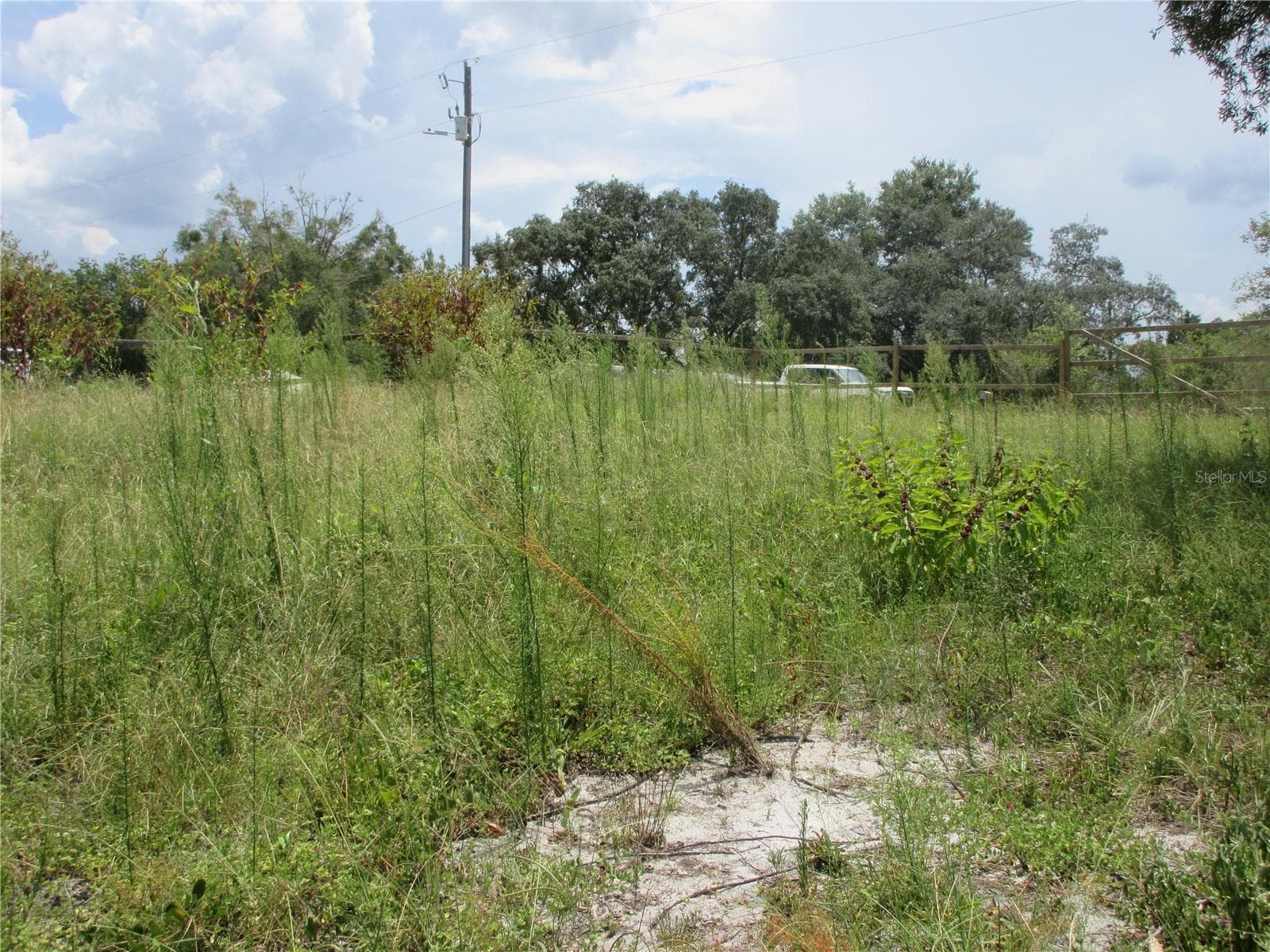 Land at TBD SE 19TH ST, SILVER SPRINGS, photo 8 of 34