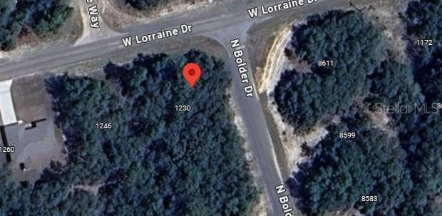 Land at 1230 W LORRAINE DR, CITRUS SPRINGS, photo 6 of 7