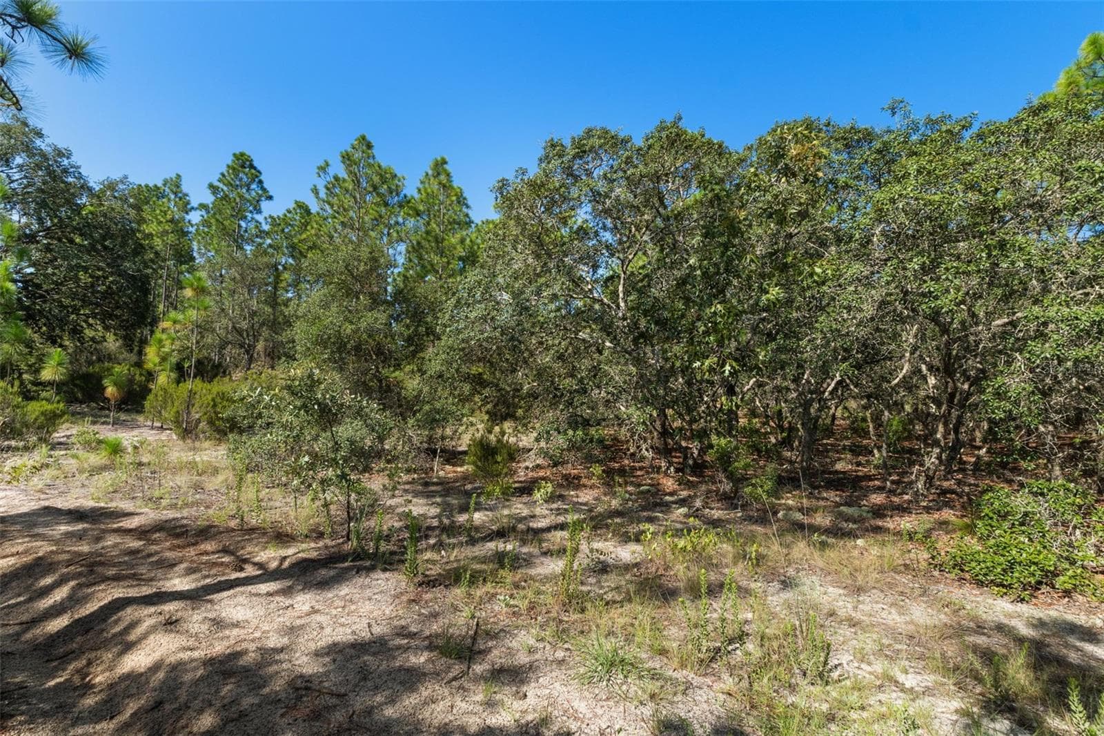 Land at 10806 N STATUE PT, DUNNELLON, photo 13 of 21