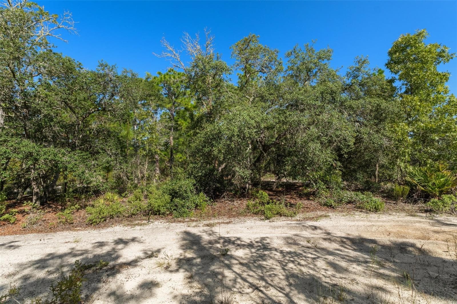 Land at 10806 N STATUE PT, DUNNELLON, photo 14 of 21