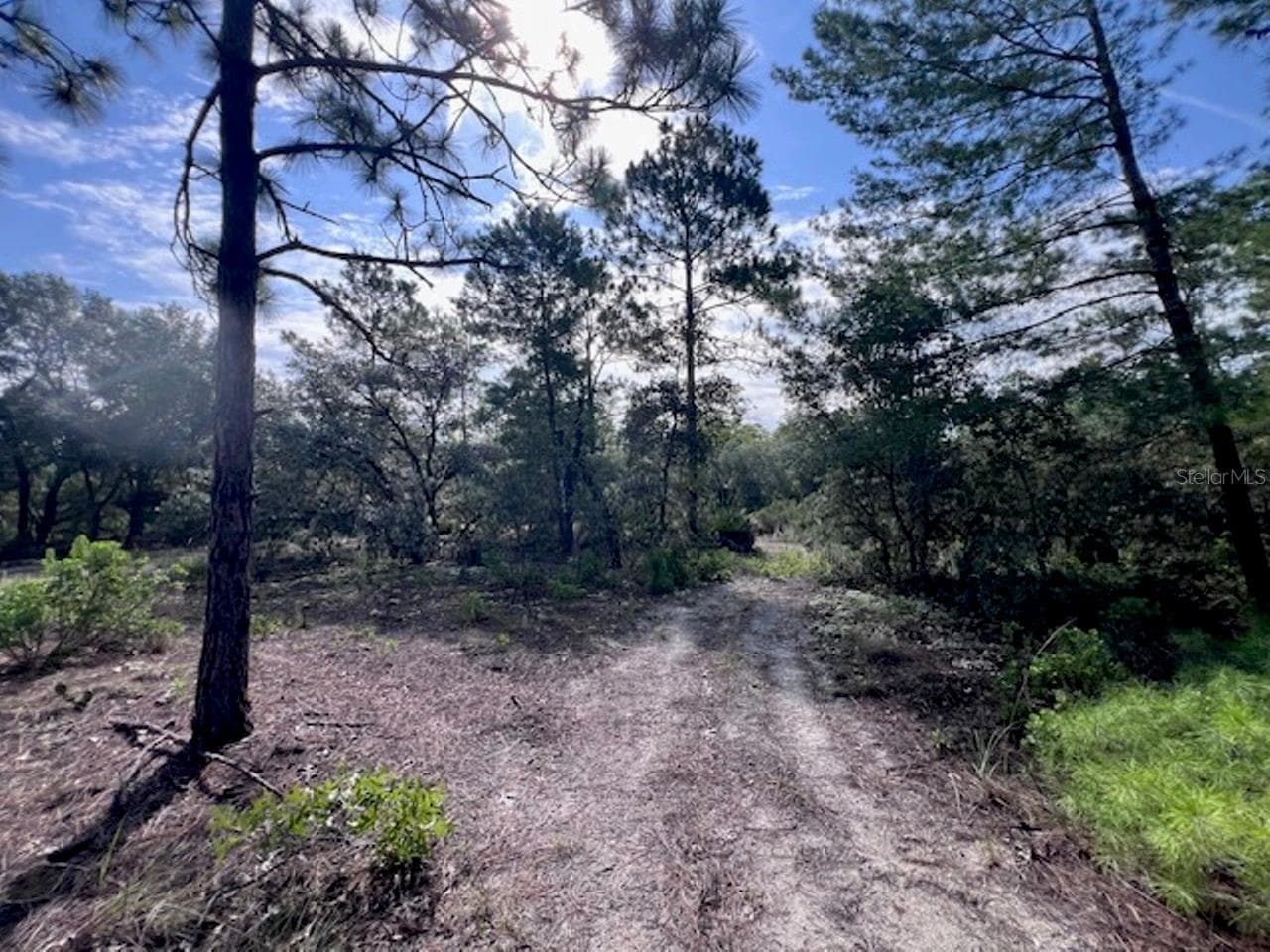 Land at 10806 N STATUE PT, DUNNELLON, photo 18 of 21