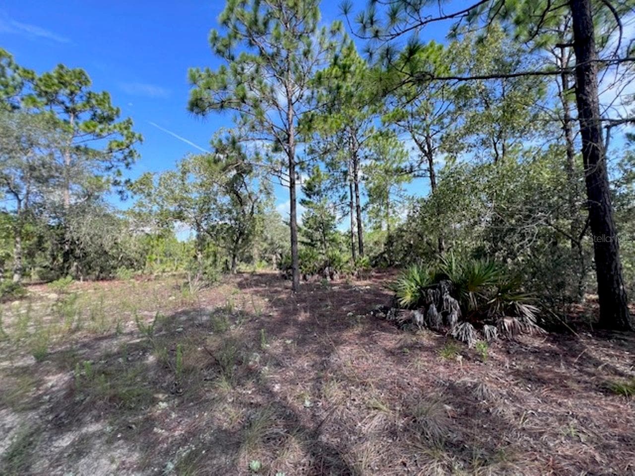 Land at 10806 N STATUE PT, DUNNELLON, photo 19 of 21