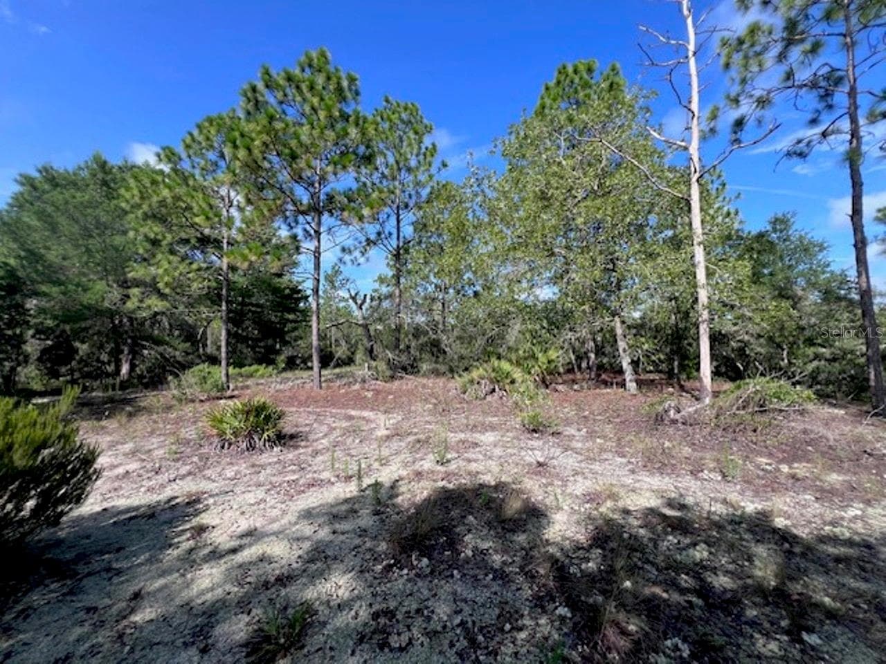 Land at 10806 N STATUE PT, DUNNELLON, photo 20 of 21