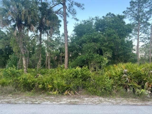 Land at 13352 RODIN DR, PUNTA GORDA, photo 2 of 5