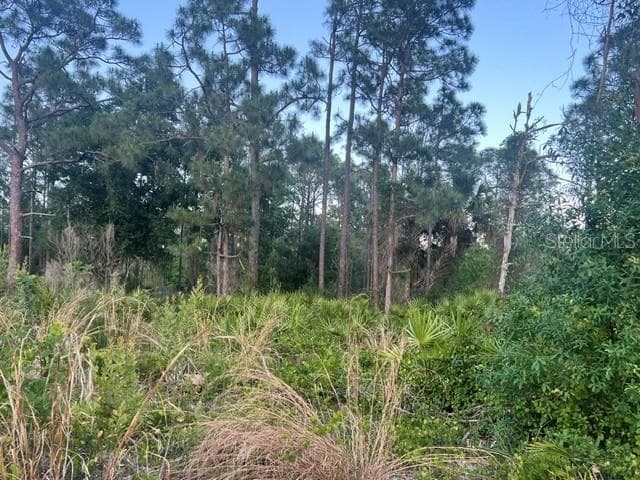 Land at 13352 RODIN DR, PUNTA GORDA, photo 3 of 5
