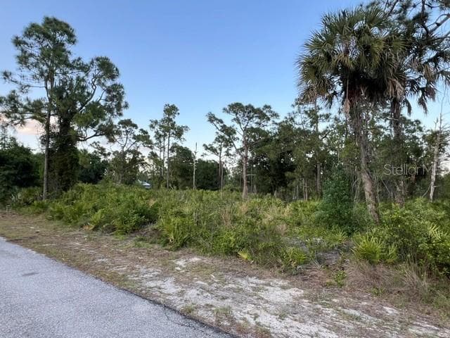 Land at 13352 RODIN DR, PUNTA GORDA, photo 4 of 5