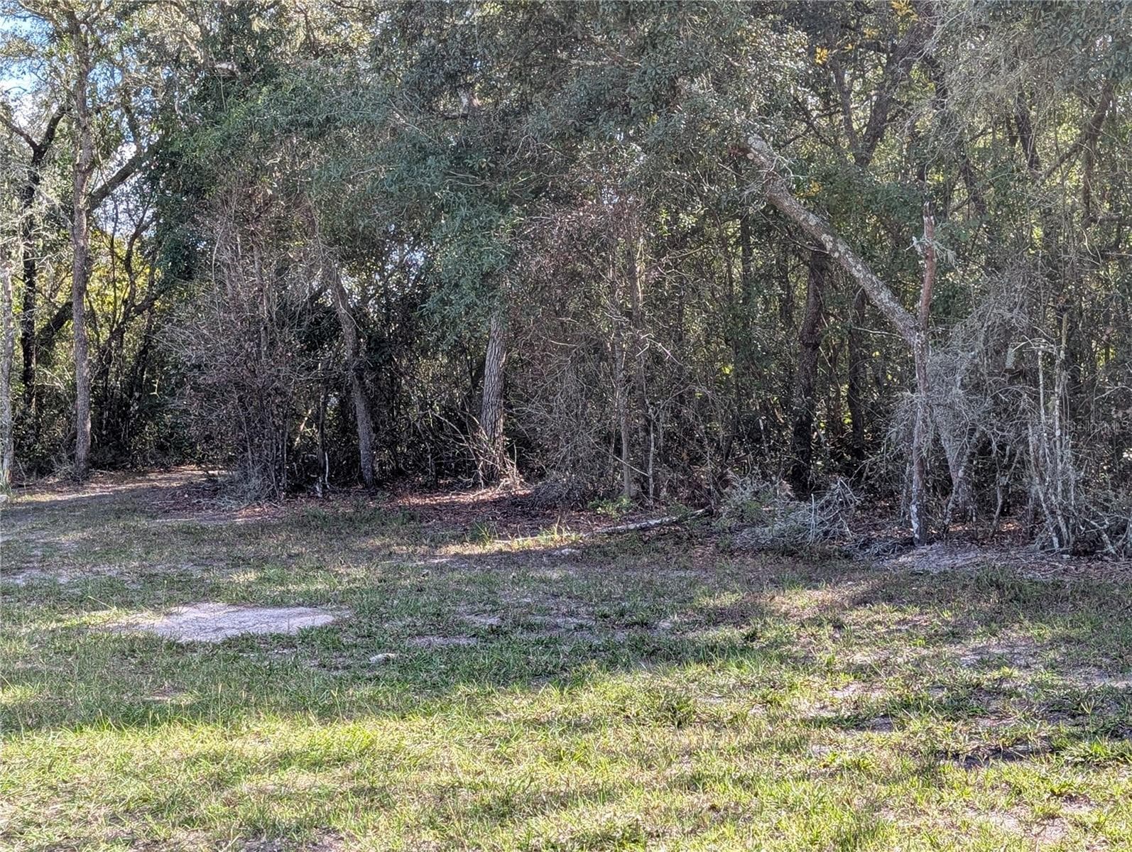 Land at 4114 E CAMP IZZARD PL, DUNNELLON, photo 2 of 9