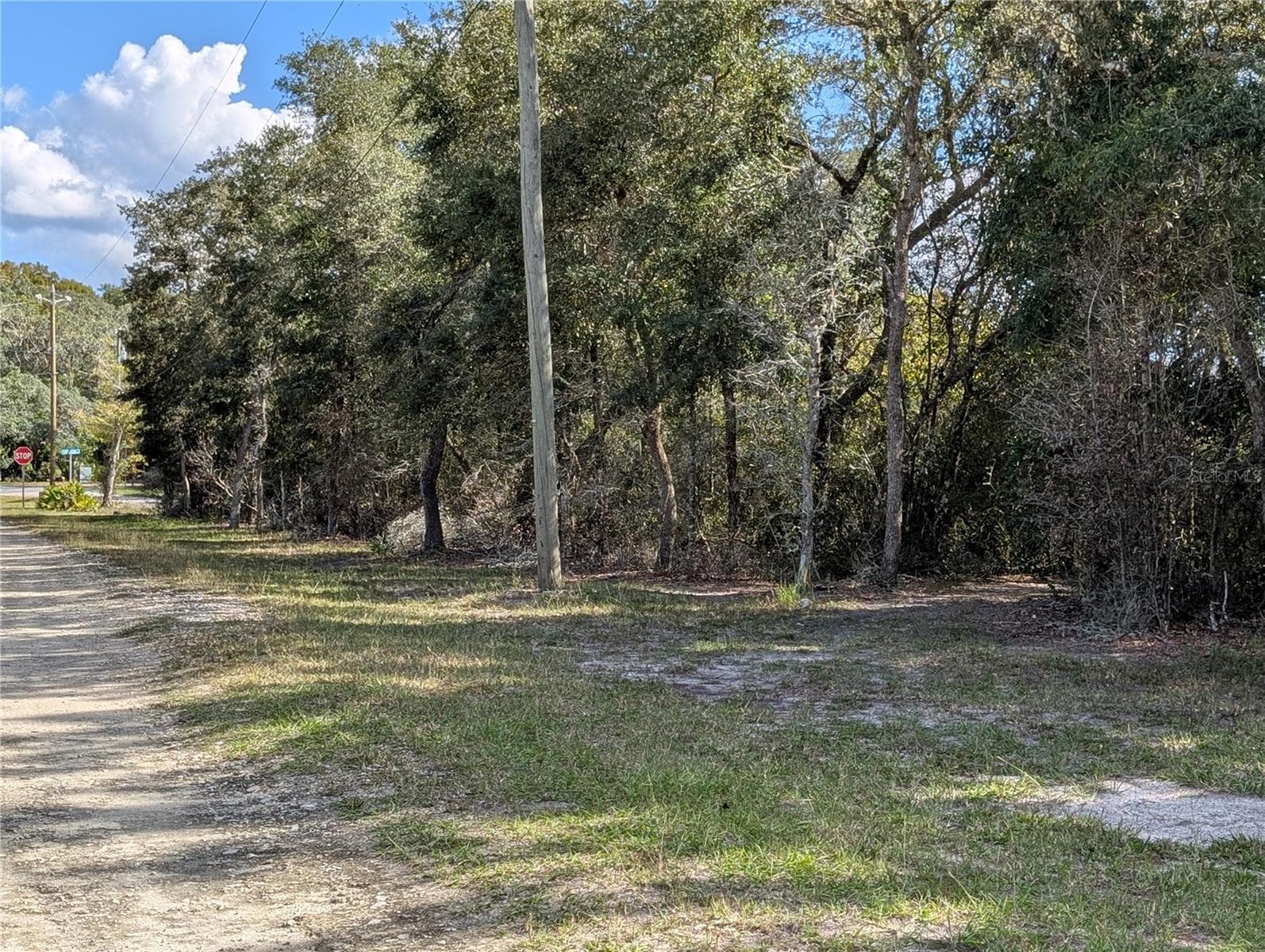 Land at 4114 E CAMP IZZARD PL, DUNNELLON, photo 4 of 9