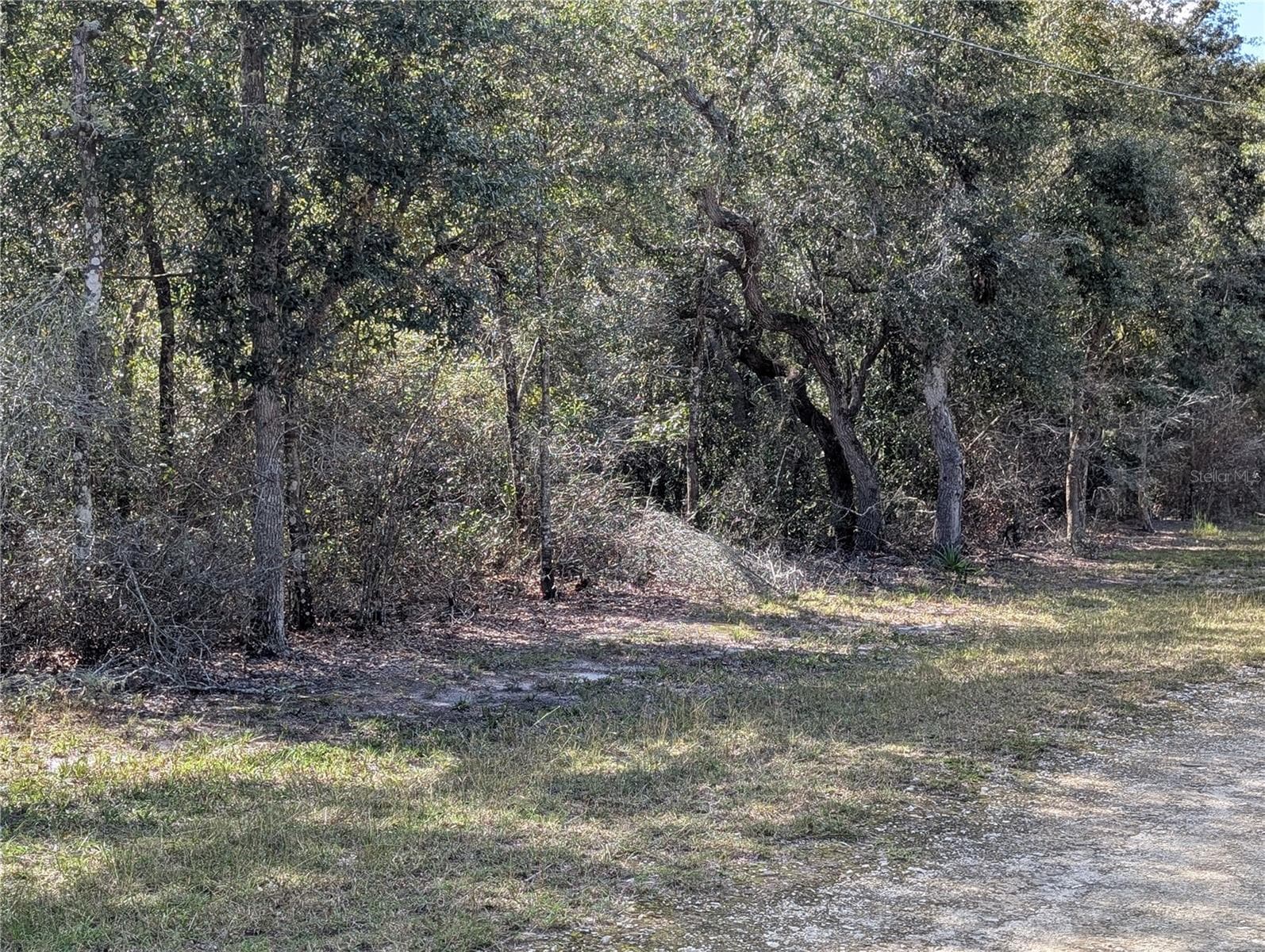 Land at 4114 E CAMP IZZARD PL, DUNNELLON, photo 6 of 9