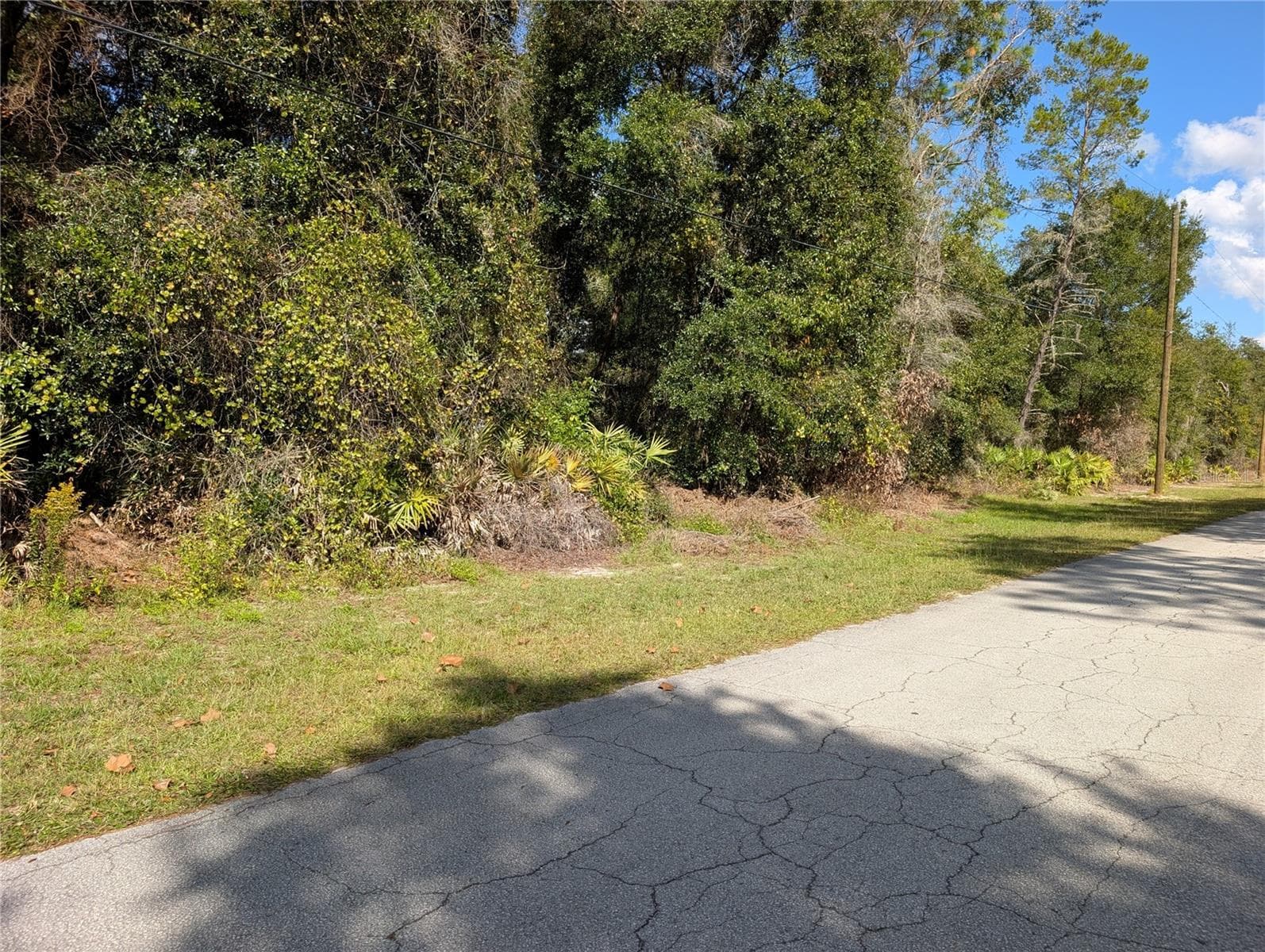 Land at 4114 E CAMP IZZARD PL, DUNNELLON, photo 8 of 9