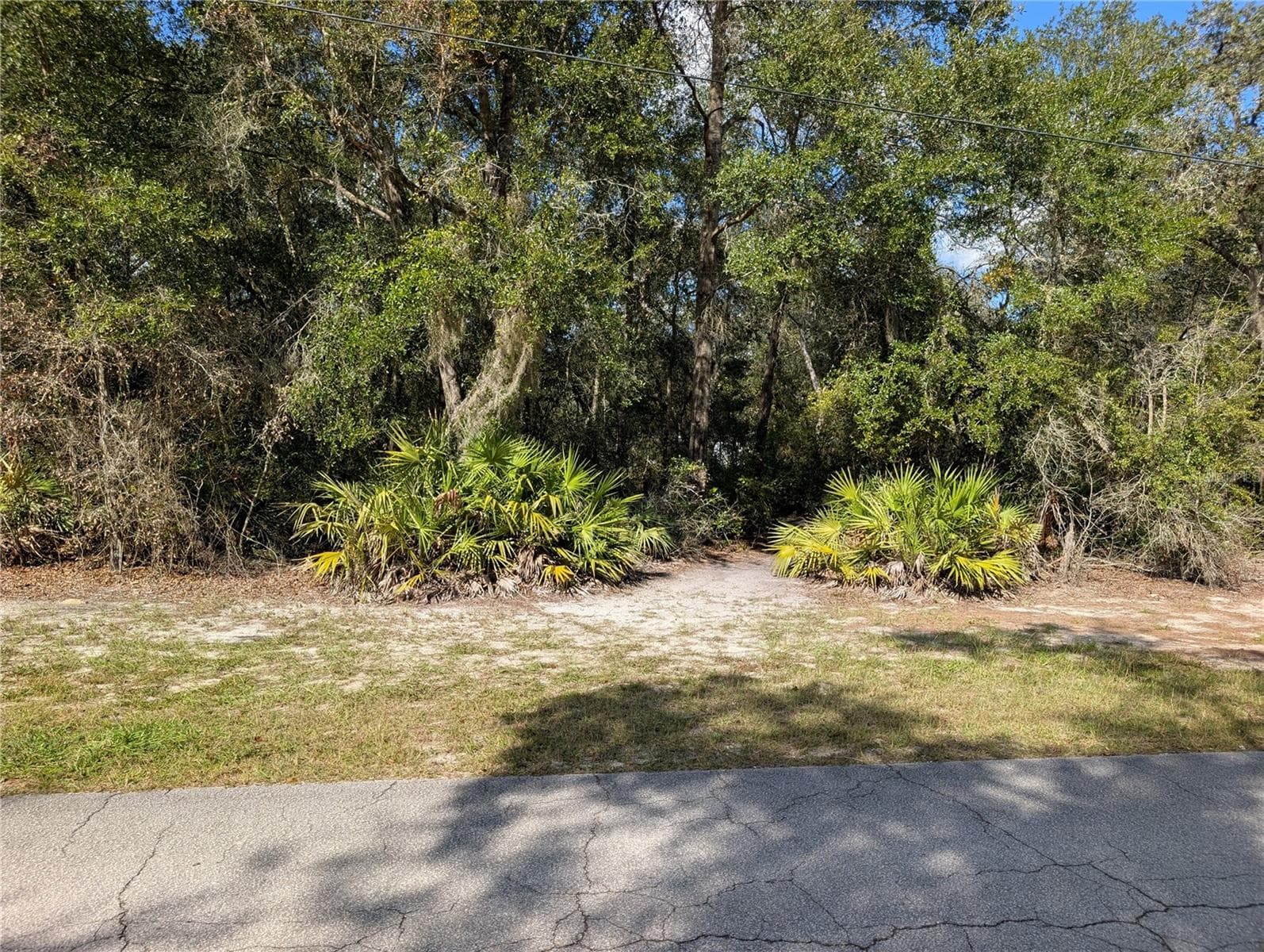 Land at 4114 E CAMP IZZARD PL, DUNNELLON, photo 9 of 9