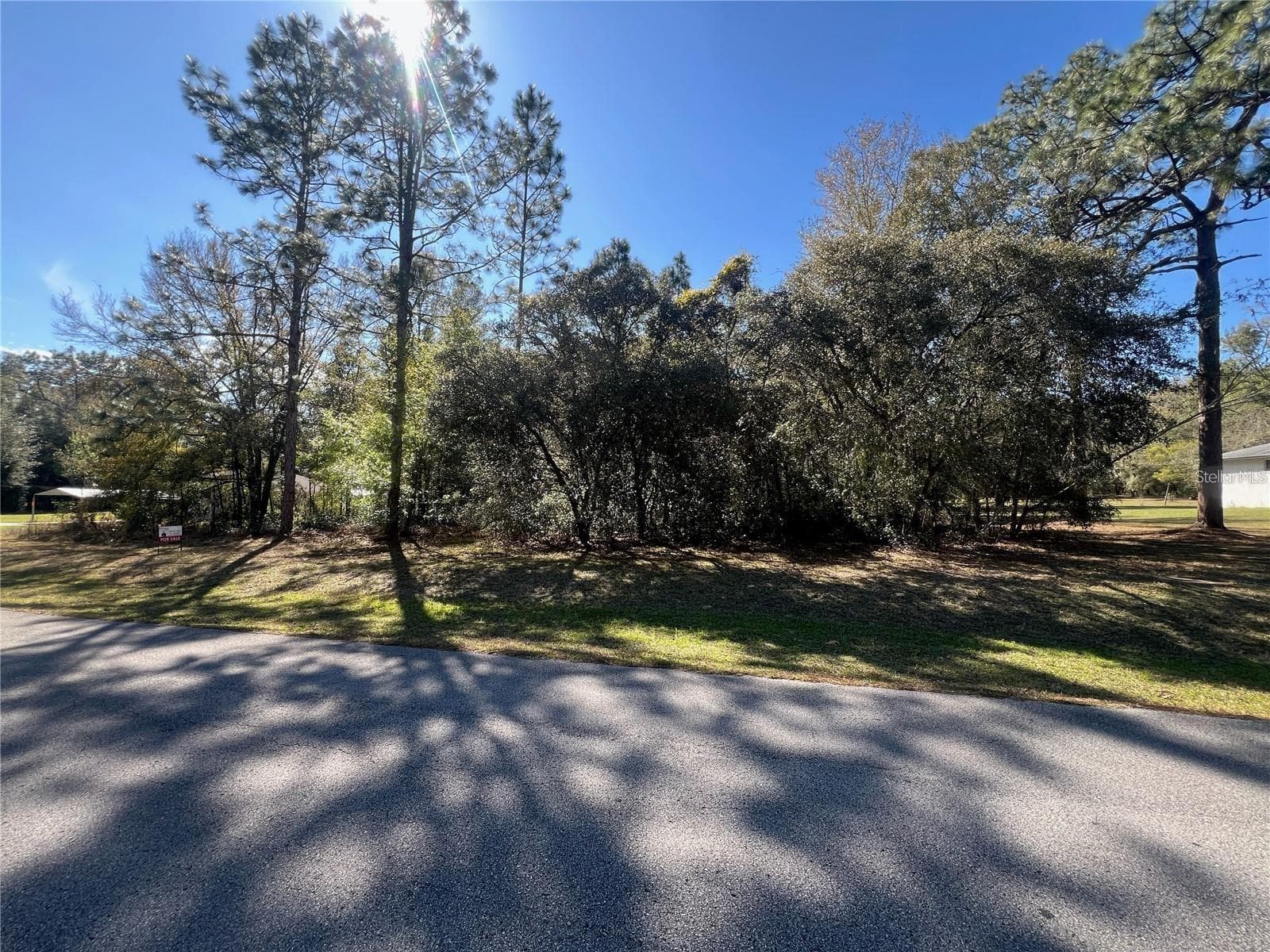Land at 00 SW 196TH AVE, DUNNELLON, photo 2 of 3