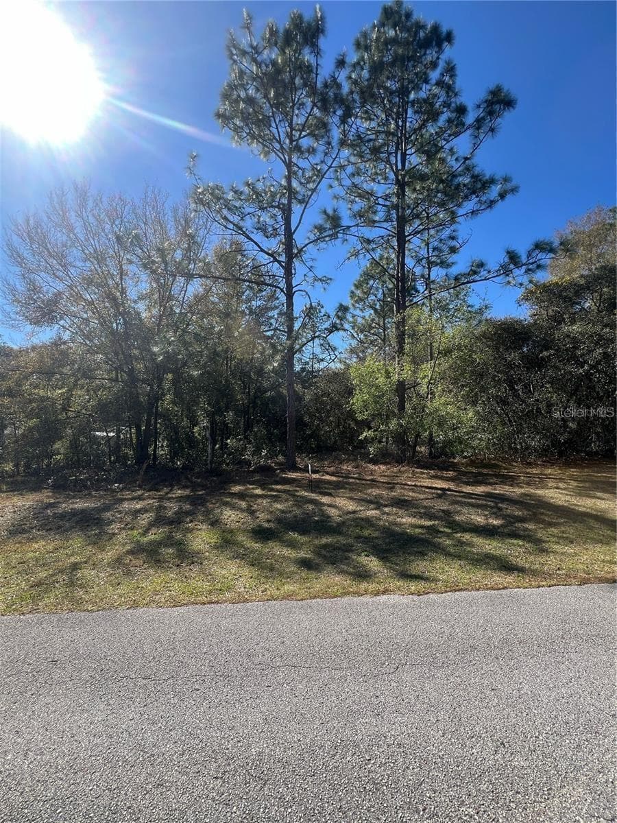 Land at 00 SW 196TH AVE, DUNNELLON, photo 3 of 3