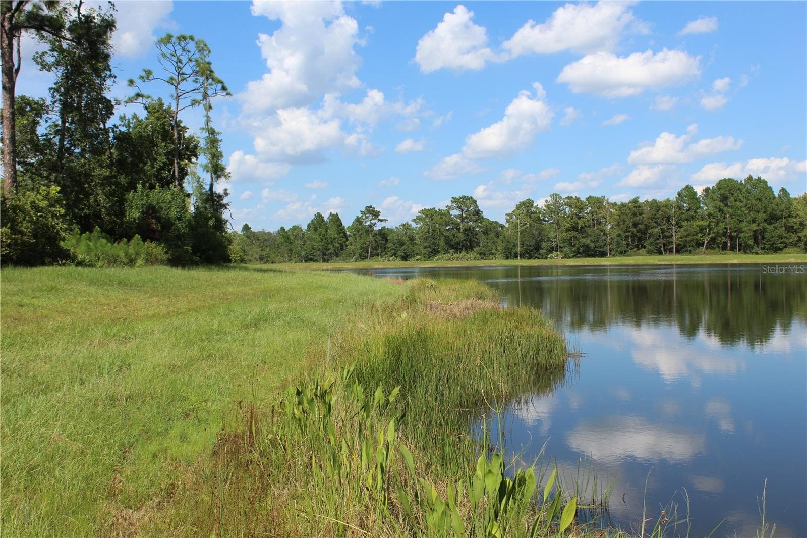 Land at DOLPHIN CIR, ORLANDO, photo 4 of 10