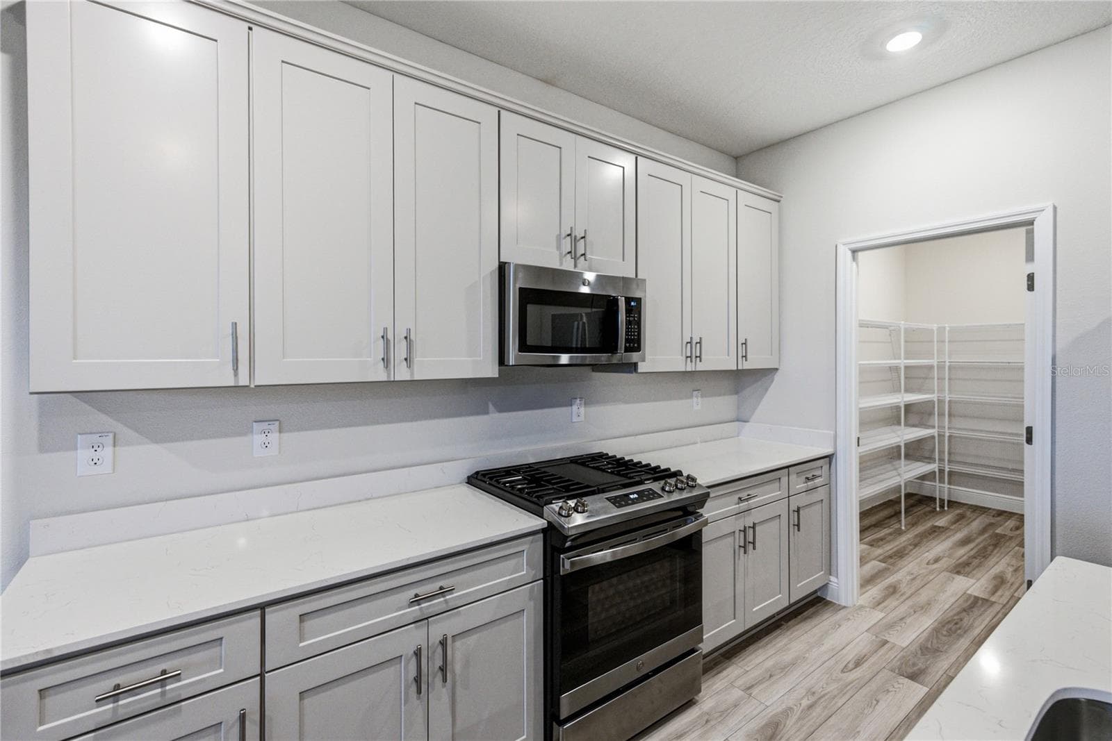 Single Family Residence at 12253 CATTLESIDE DR, RIVERVIEW, photo 32 of 65