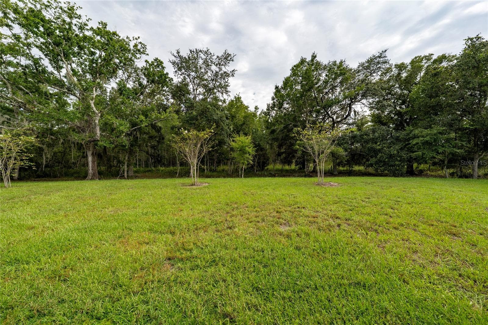 Single Family Residence at 4385 TWISTED TWIG BND, KISSIMMEE, photo 37 of 54