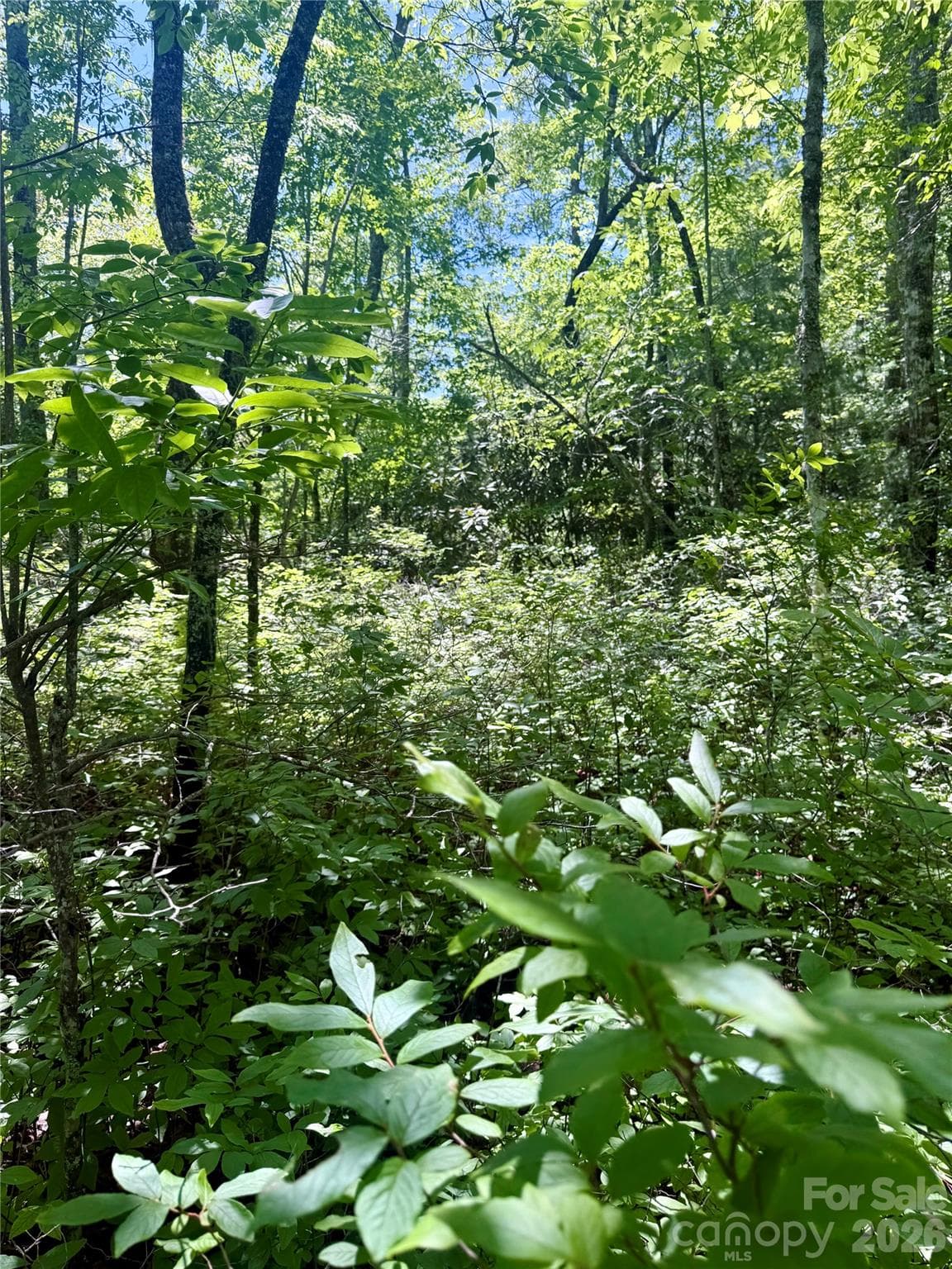 TBD Indian Lake Road