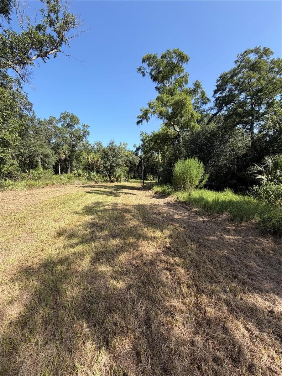 Land at 8671 SW DEER TRL, ARCADIA, photo 2 of 4