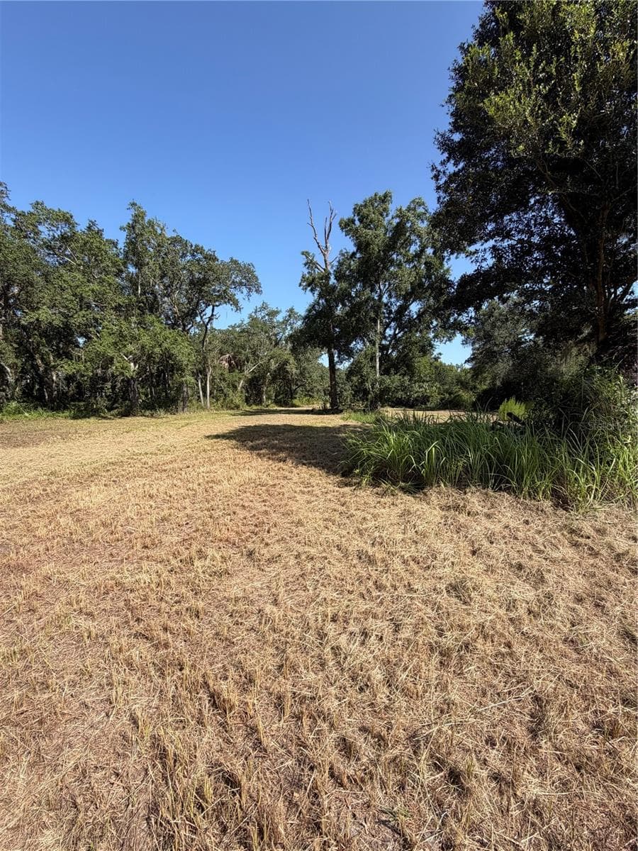 Land at 8671 SW DEER TRL, ARCADIA, photo 3 of 4