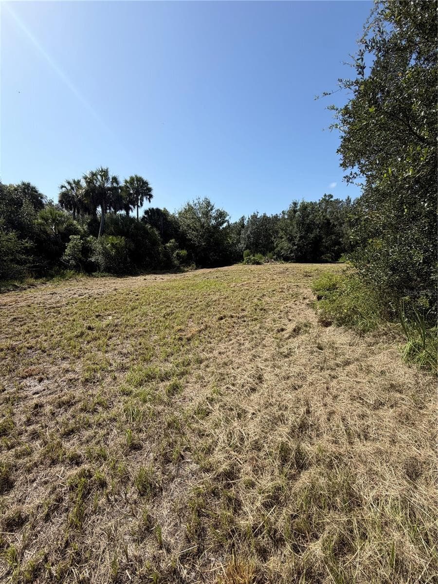 Land at 8671 SW DEER TRL, ARCADIA, photo 4 of 4