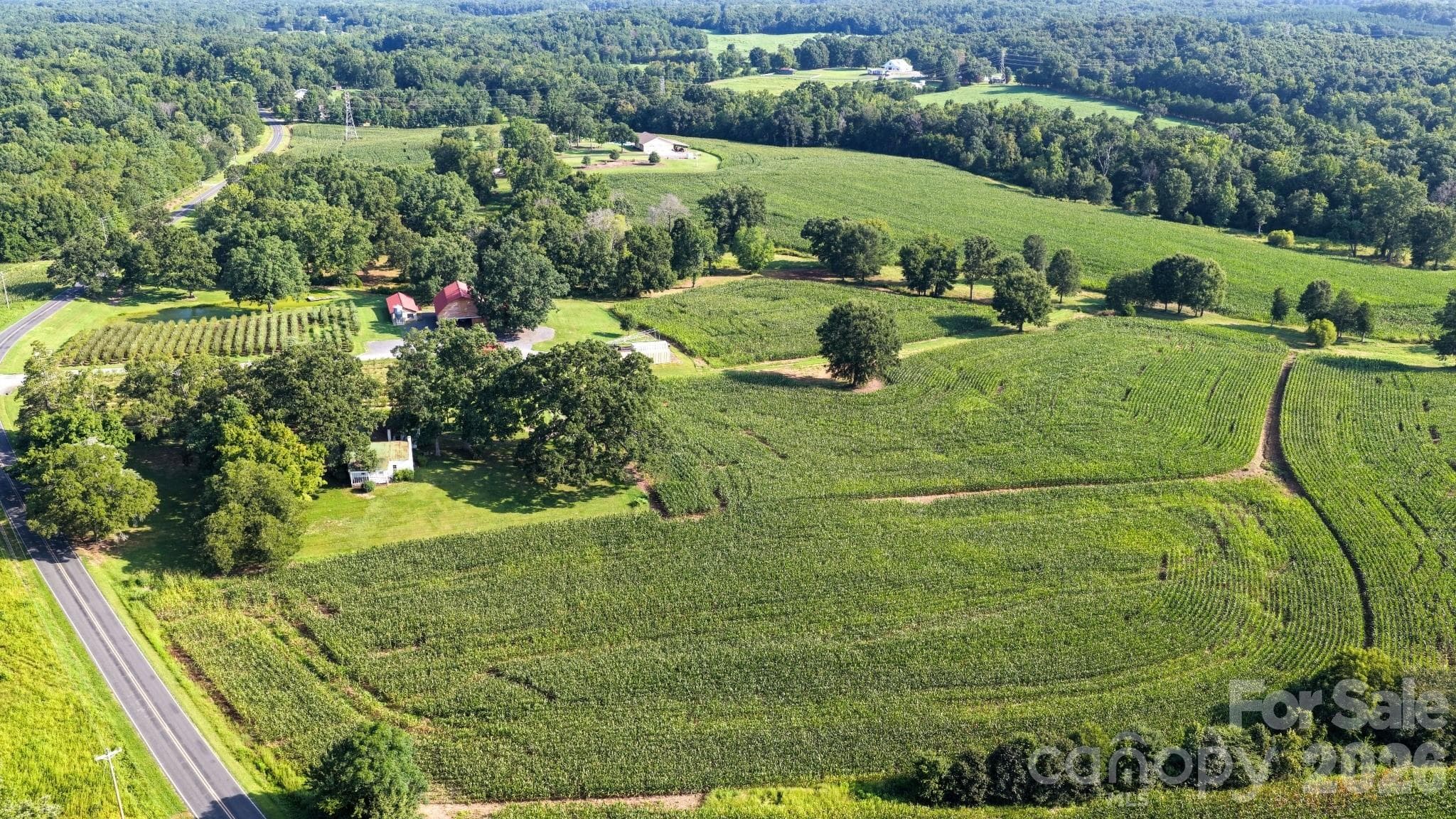 54.04 acres - 32286 Laton Road, Albemarle