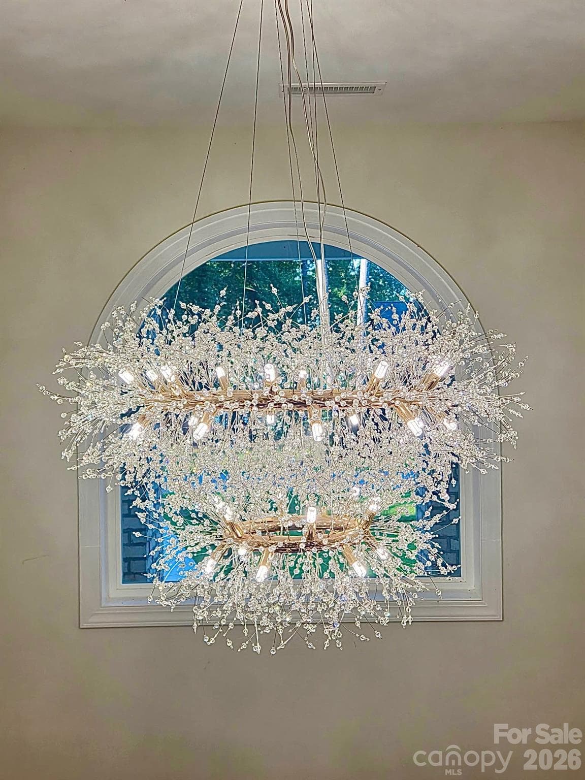 Exquisite chandelier in foyer - 124 Providence Place, Chocowinity