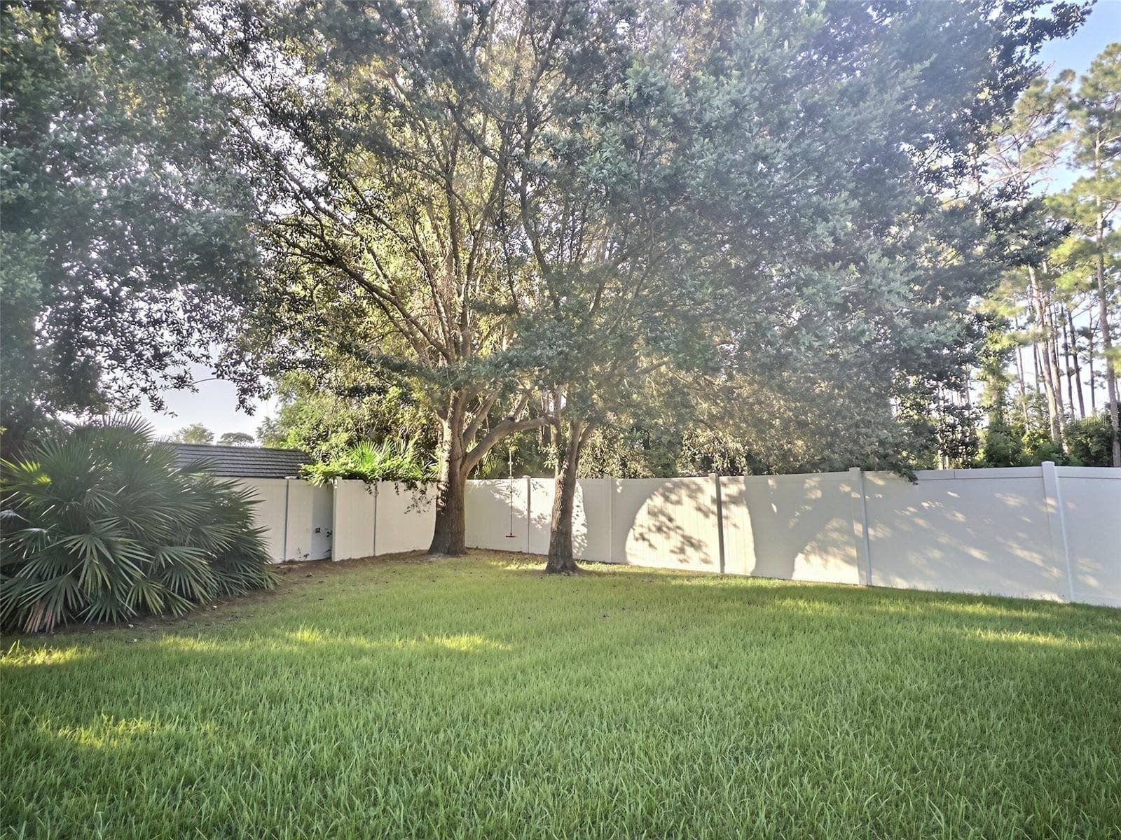 Backyard - 55 BROOKLYN LN, PALM COAST