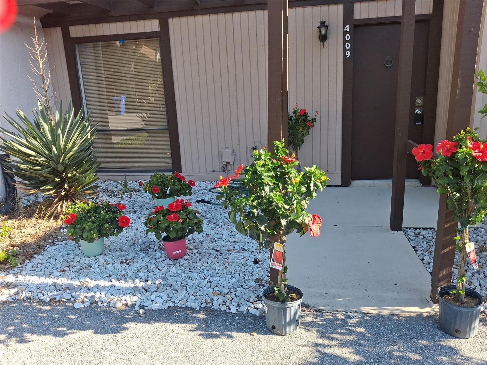 Townhouse at 4009 MURIEL PL, TAMPA, photo 2 of 27