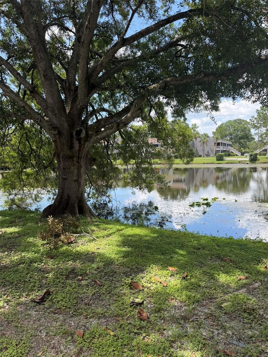 Townhouse at 4009 MURIEL PL, TAMPA, photo 15 of 27