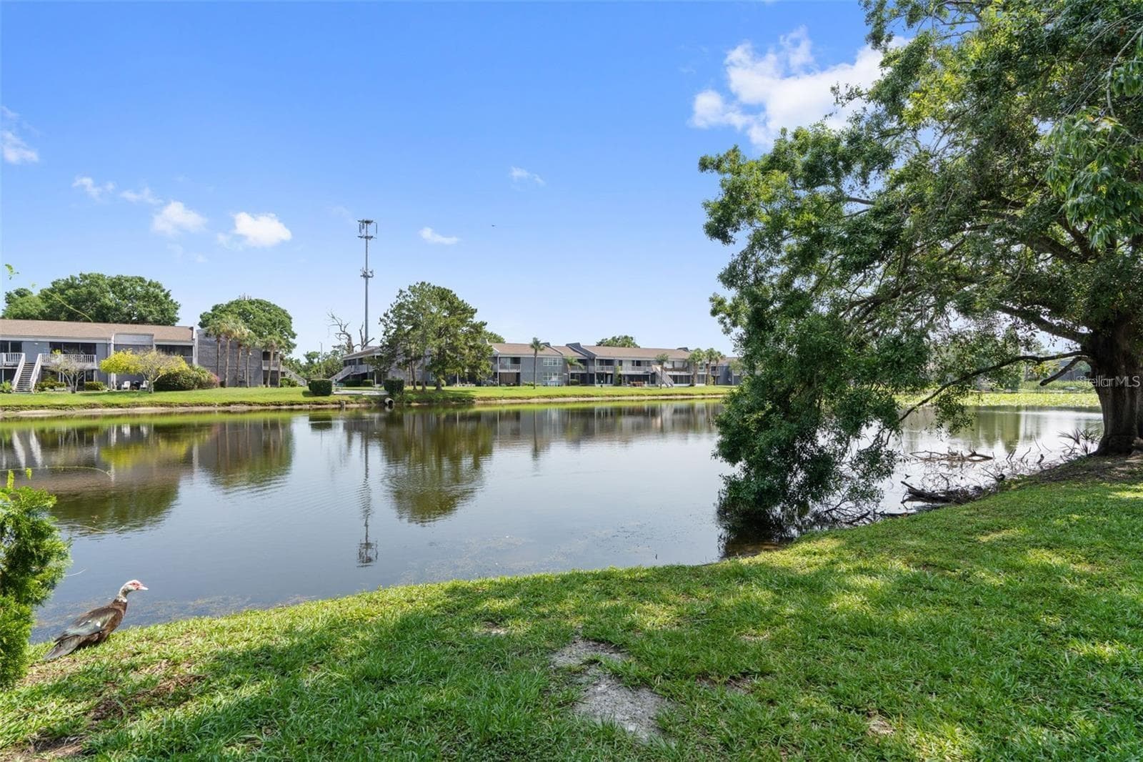 Townhouse at 4009 MURIEL PL, TAMPA, photo 25 of 27