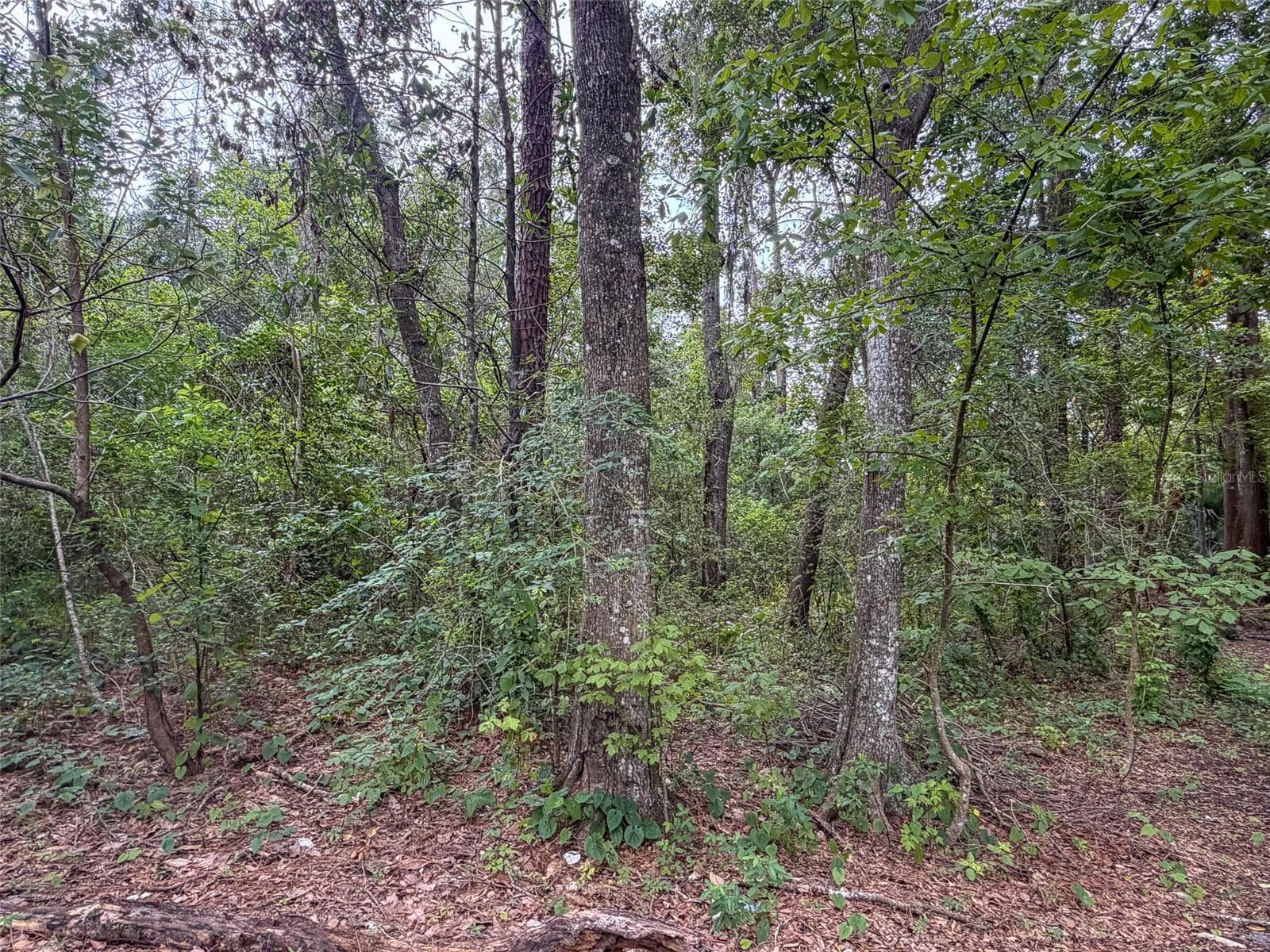 Land at 1715 SE 4TH AVE, GAINESVILLE, photo 11 of 13