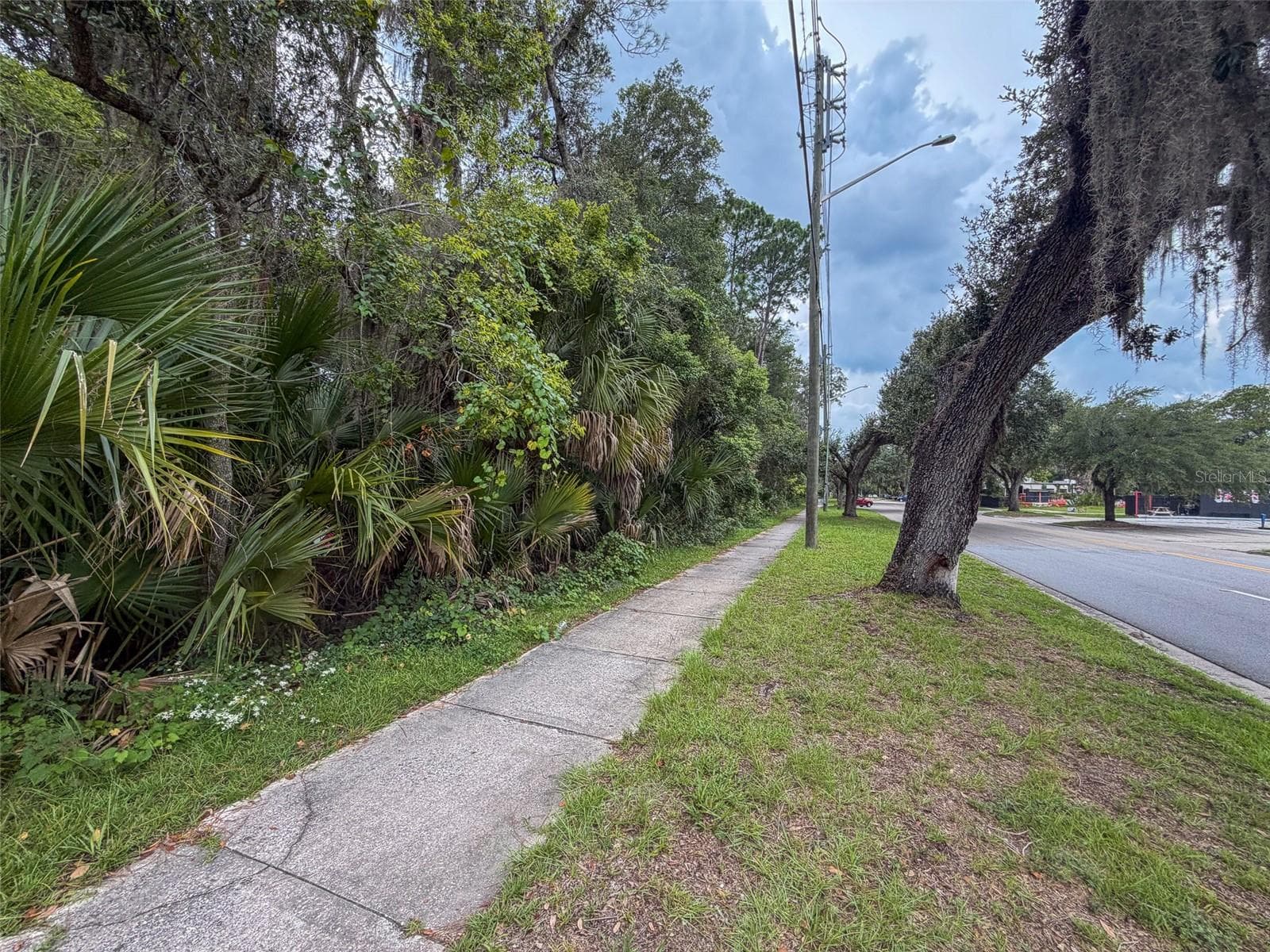 Land at 1715 SE 4TH AVE, GAINESVILLE, photo 12 of 13