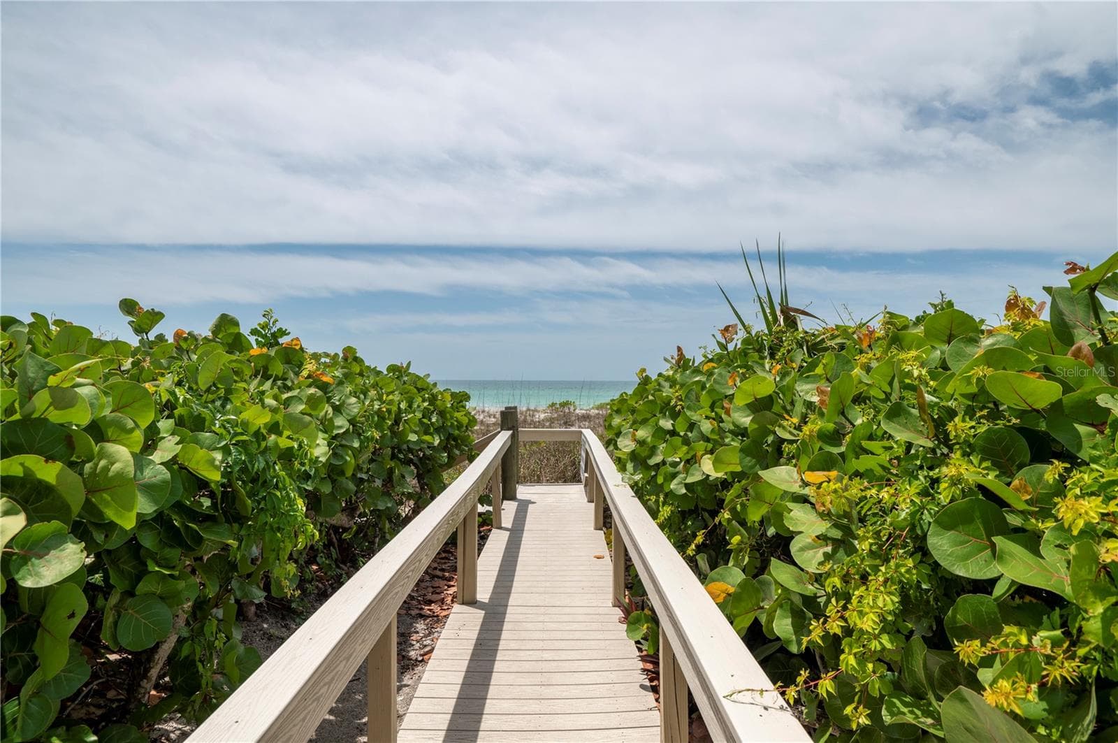 2675 GULF OF MEXICO DR #204