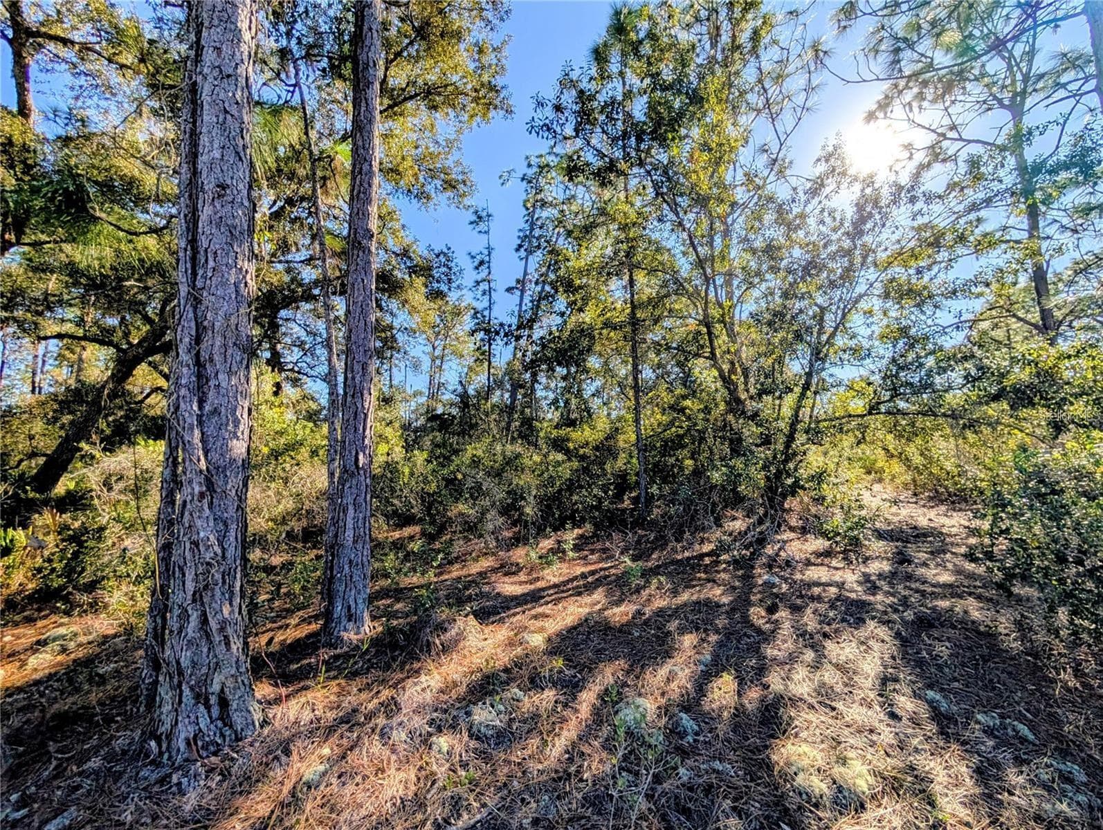 Land at 609 INDIAN LAKE DR, INDIAN LAKE ESTATES, photo 20 of 20