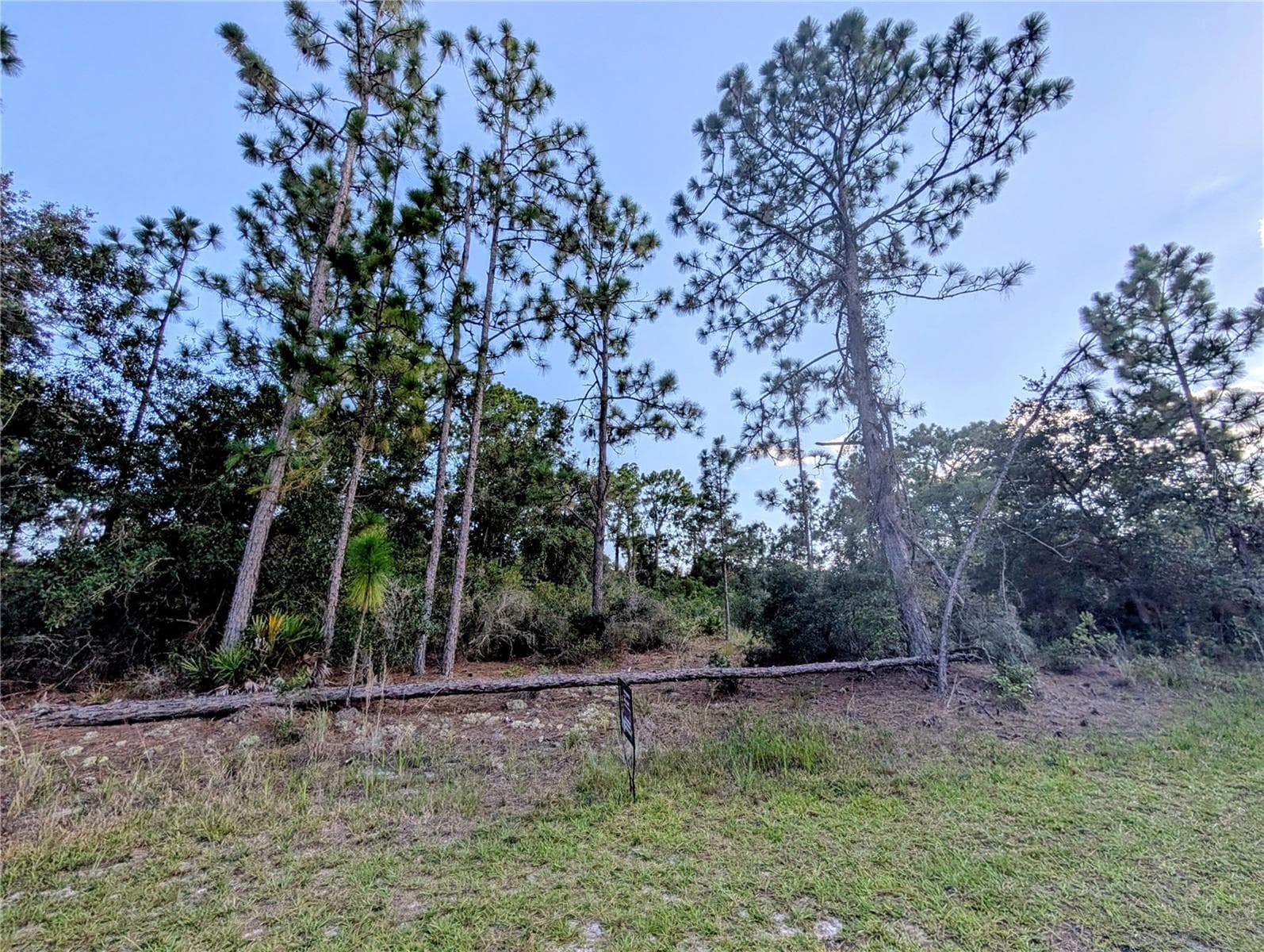 Land at 609 INDIAN LAKE DR, INDIAN LAKE ESTATES, photo 3 of 20