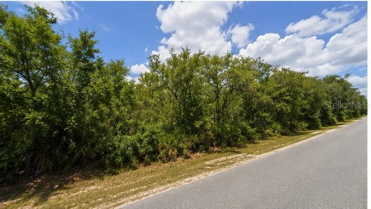 Land at 00 COUNTRY RD, EUSTIS, photo 3 of 16
