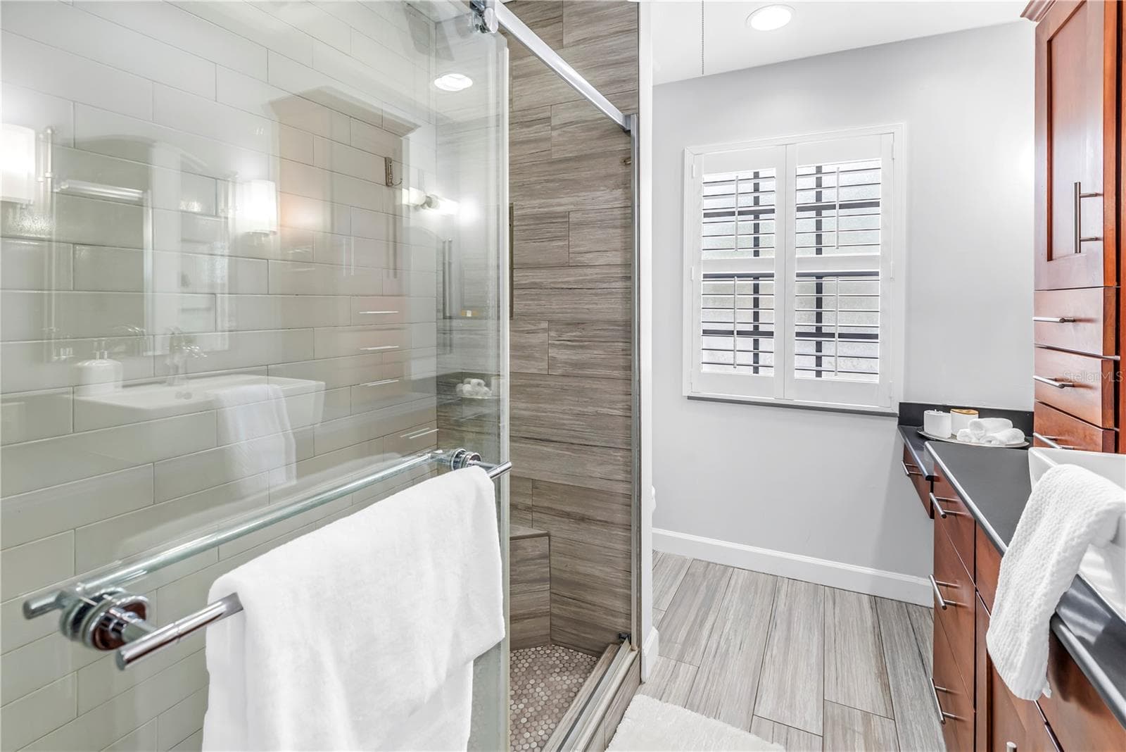 Stainless Hardware Glass Doors and Private Toilet area. - 1092 SANABEL CT NE, ST PETERSBURG