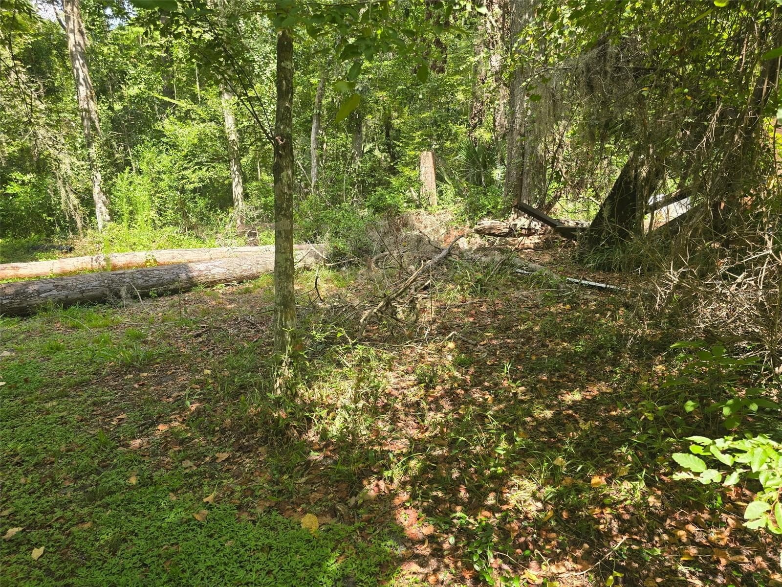 Land at TBD NW SPRING HOLLOW BLVD, LAKE CITY, photo 3 of 10