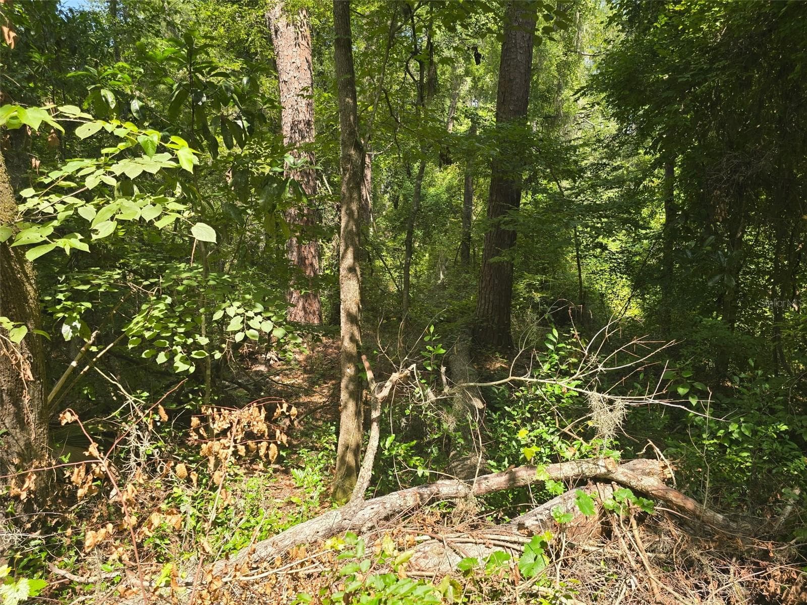 Land at TBD NW SPRING HOLLOW BLVD, LAKE CITY, photo 8 of 10